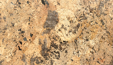 Alaska Gold Granite