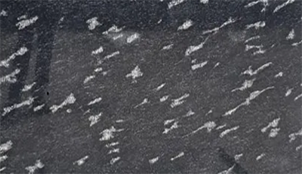 Fish Black Granite